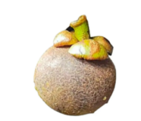 image.png image.png