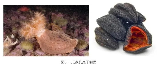 微信截图_20241030141522.png